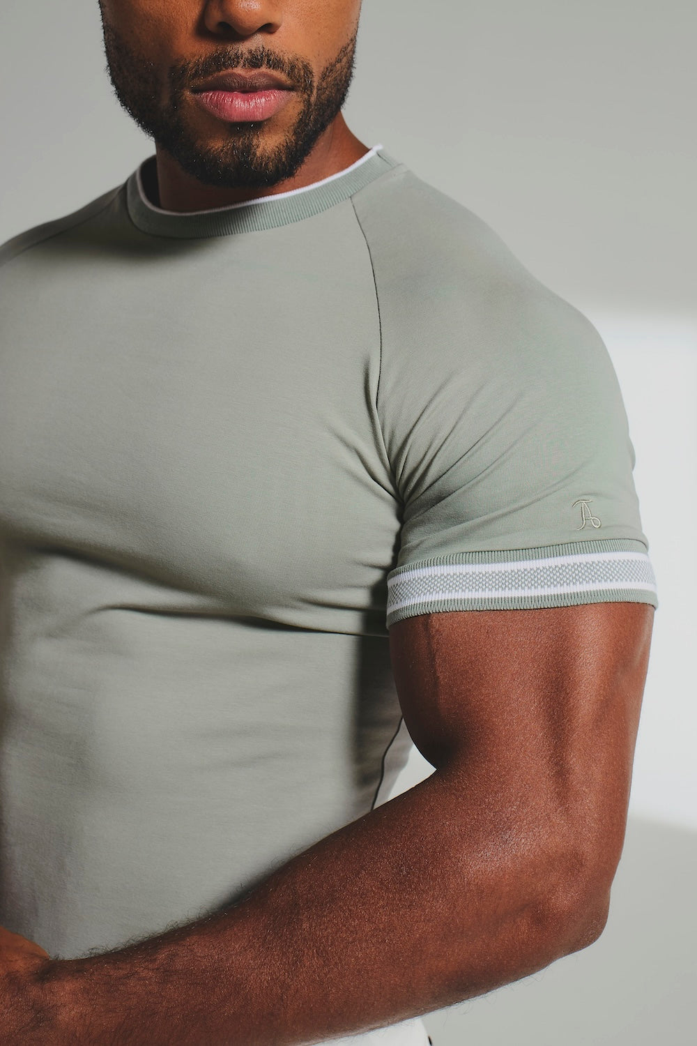Tipped Fashion Fit T-Shirt in Sage / White