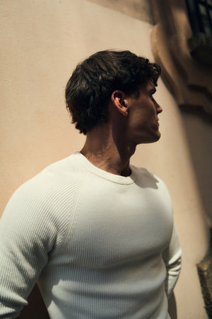 Pure Cotton Knitted Textured Crew Neck Jumper in Winter White