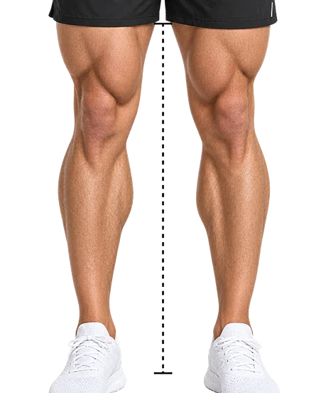Inside leg